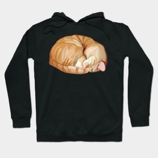 Sleeping Curled Orange Ginger Tabby Cat Hoodie